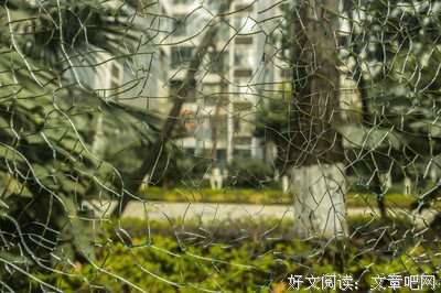 快乐的源泉