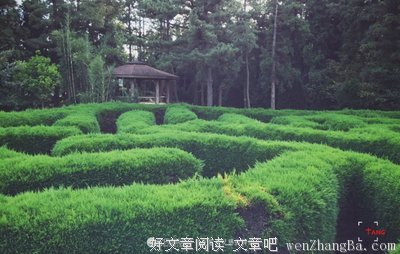 让财富背着我们走