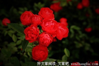 寄望江楼