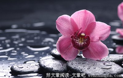 爆点放后面，好故事就废了
