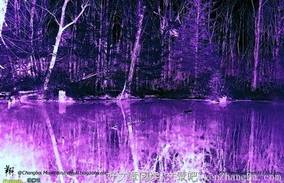 仰望幻光