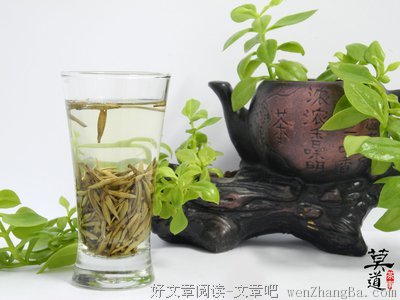 一杯白茶两片青瓦