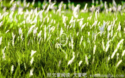 黑姑娘心语