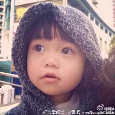 写给韩小野的情书