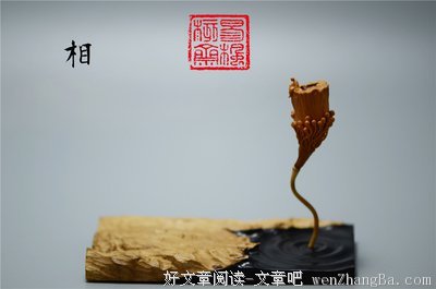 众生平等到底指的是什么