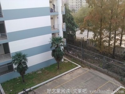 我的米顺