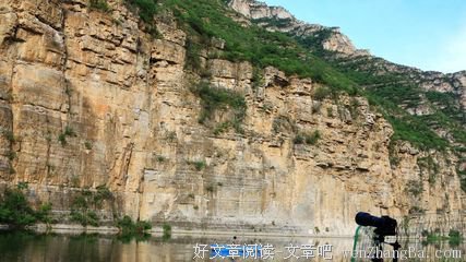 苍鹭与乌龟