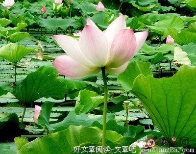 补缀生命的漏洞
