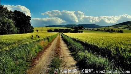 赭山漫步