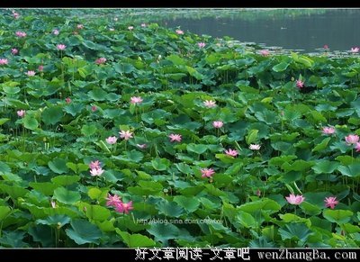 从黑暗出发