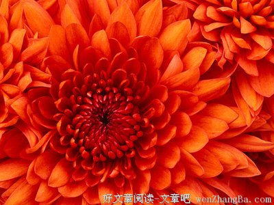 亲爱的小孩，谢谢你给我的励志人生