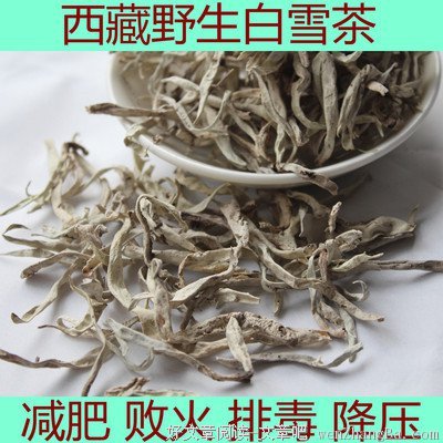 雪茶