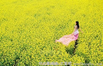 我在春天等你