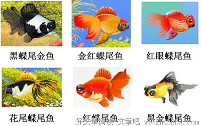 各种名字