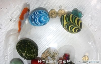 四哥的故事
