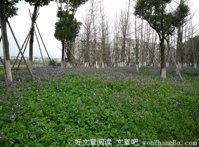 阿拉开差头