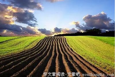 机会就在这