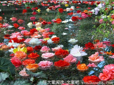 那些生命里的“小”温暖