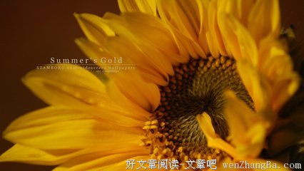 我很挑剔，也欢迎你来挑剔