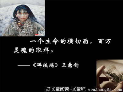生命的来处，灵魂的归途