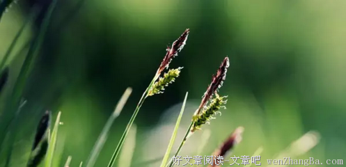  快乐在一线之间