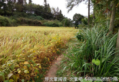  河床开始回忆河流