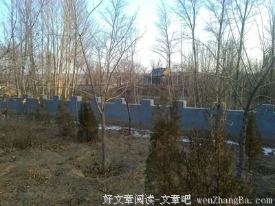 陪母亲回乡