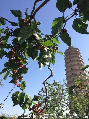 她的城