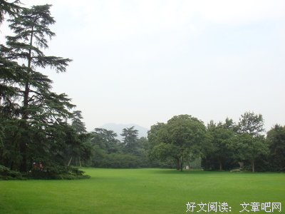 后院