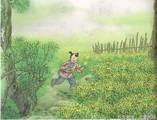 开在古诗里的荠菜花