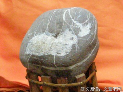 黑猫白猫，好运就是好猫