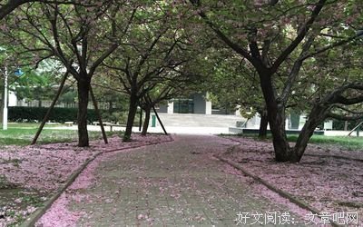  即兴故事