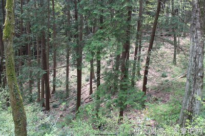 巡山