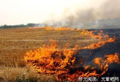 人口多未必是负担