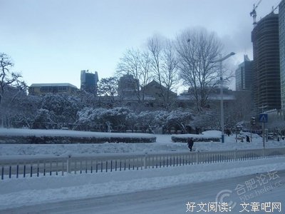 记忆中的雪