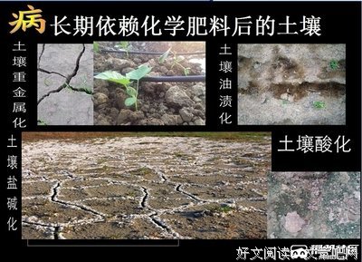 泥土，最美的平凡珍宝