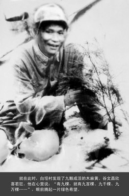 饿死的食人鱼