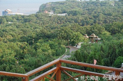 游向深海，不必回头