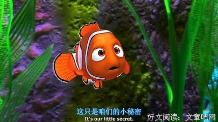 健忘”的章鱼