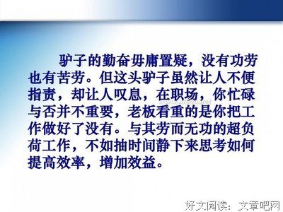  一头驴的职场故事
