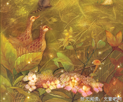 跟一棵树说话