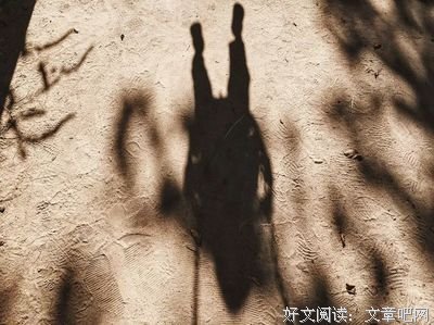 你曾赢过全世界的难，最后却输给了自己的懒