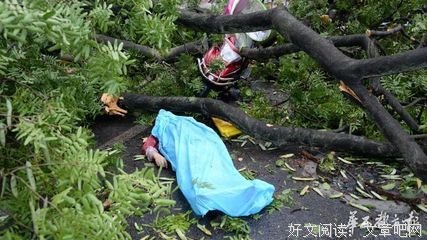 狂风吹不动母亲的爱