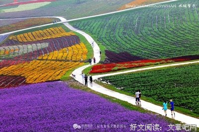 遇见你，雪花优雅如诗