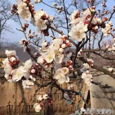 对辽阔事物的想象