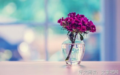  爱到八分最相宜