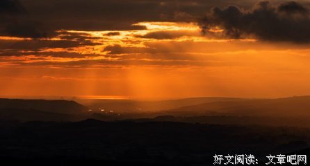 一棵枯荣树