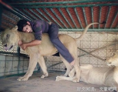 勿让身份毁了生活