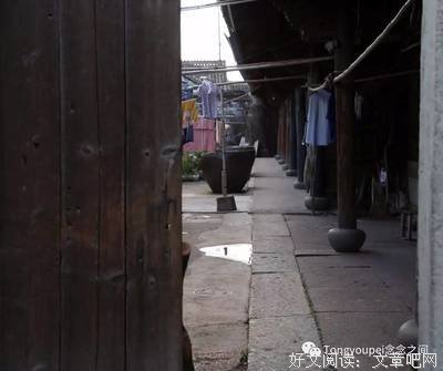 崔婆婆家的燕子窝