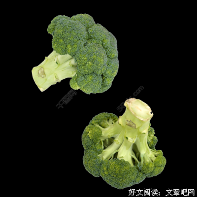 藏在心底的西蓝花